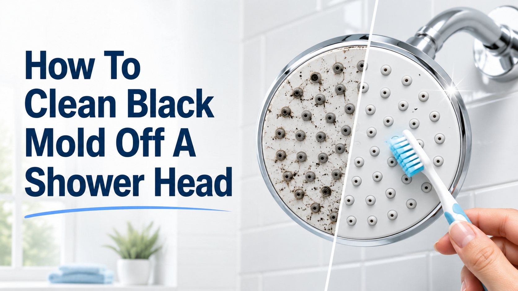 How To Clean Black Mold Off A Shower Head.png